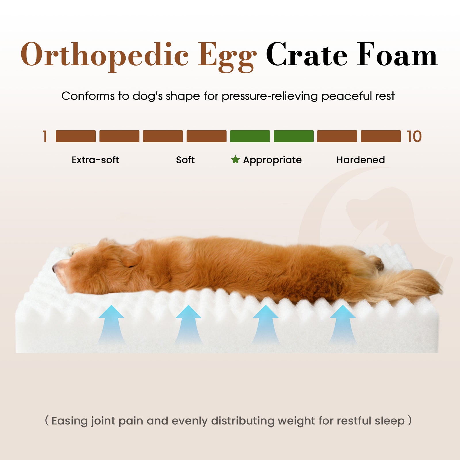 Orthopedic Dog Bed for Large Dogs with Waterproof Lining