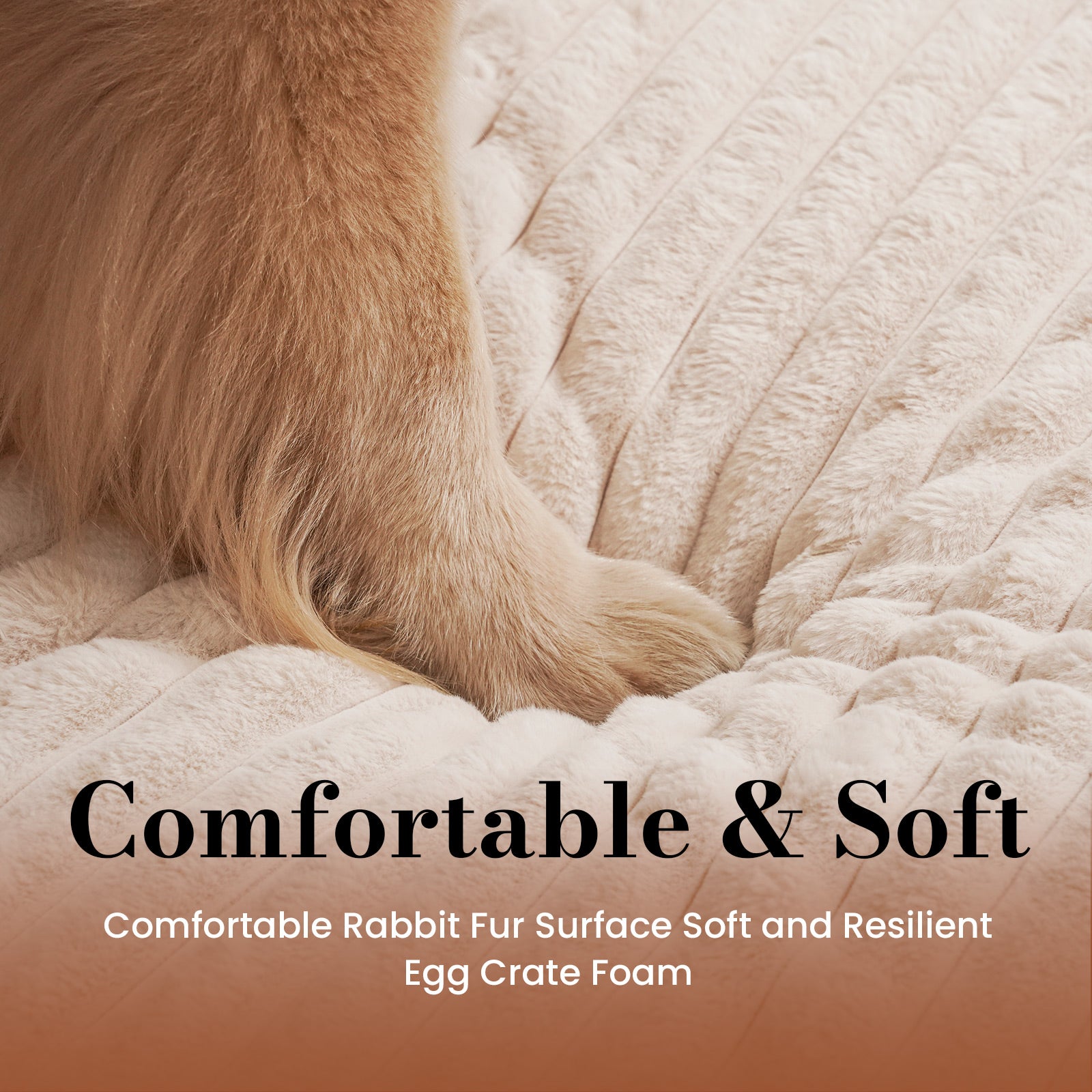 Orthopedic Dog Bed for Large Dogs with Waterproof Lining